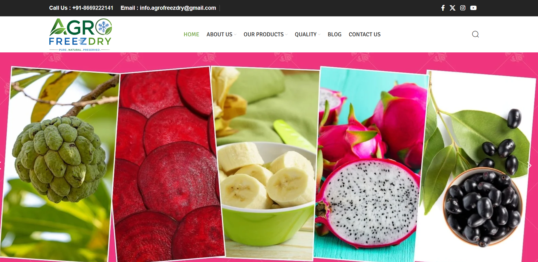 Agro Freeze Dry B2B homepage